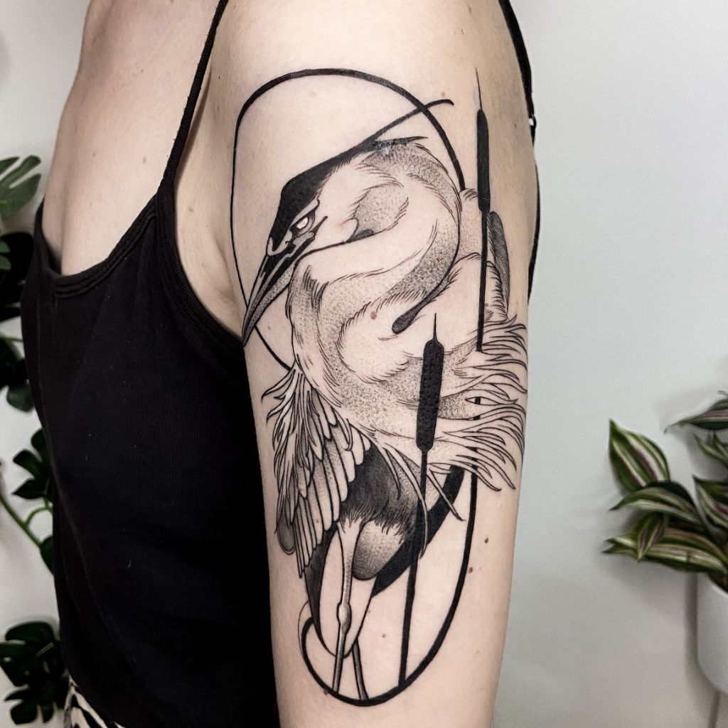 Tatouage héron blackwork épaule - Anne Bonny Ink Lorient