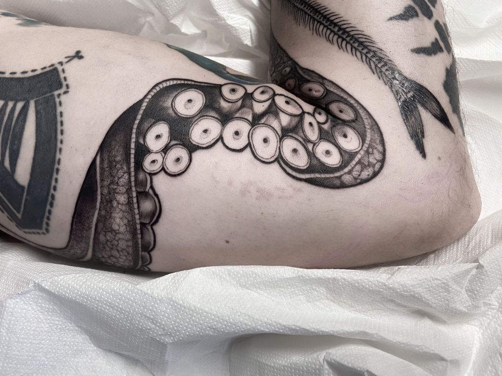 Tatouage tentacule pieuvre genou - Anne Bonny Ink Morbihan