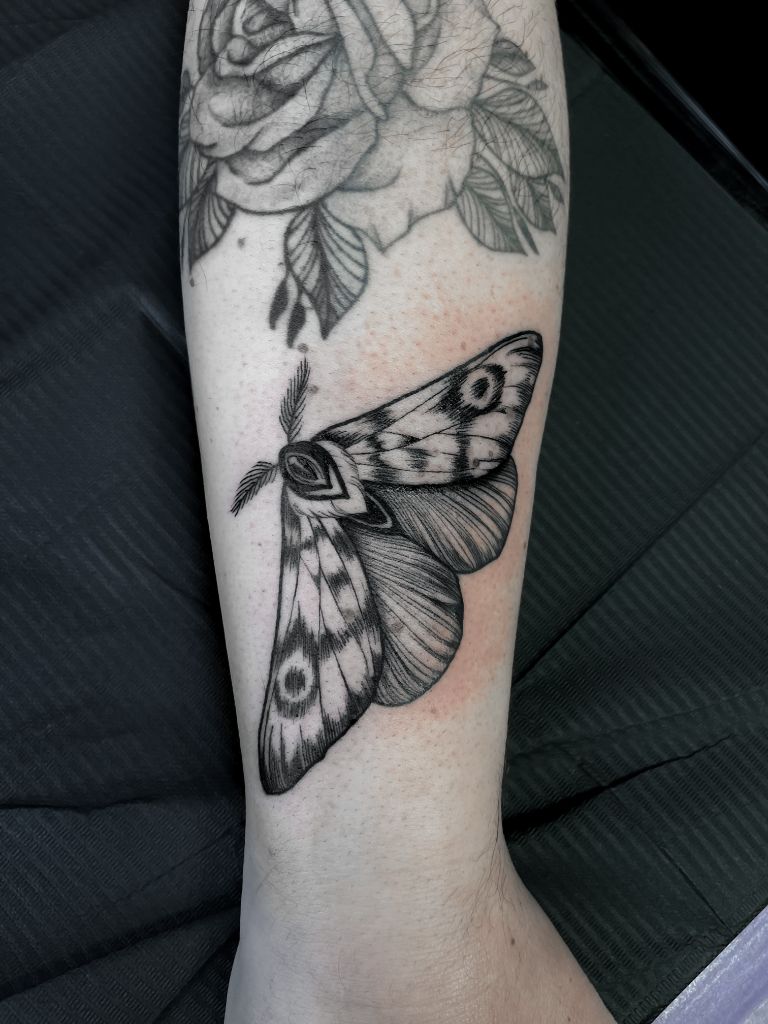 Tatouage papillon de nuit avant-bras - Anne Bonny Ink Caudan